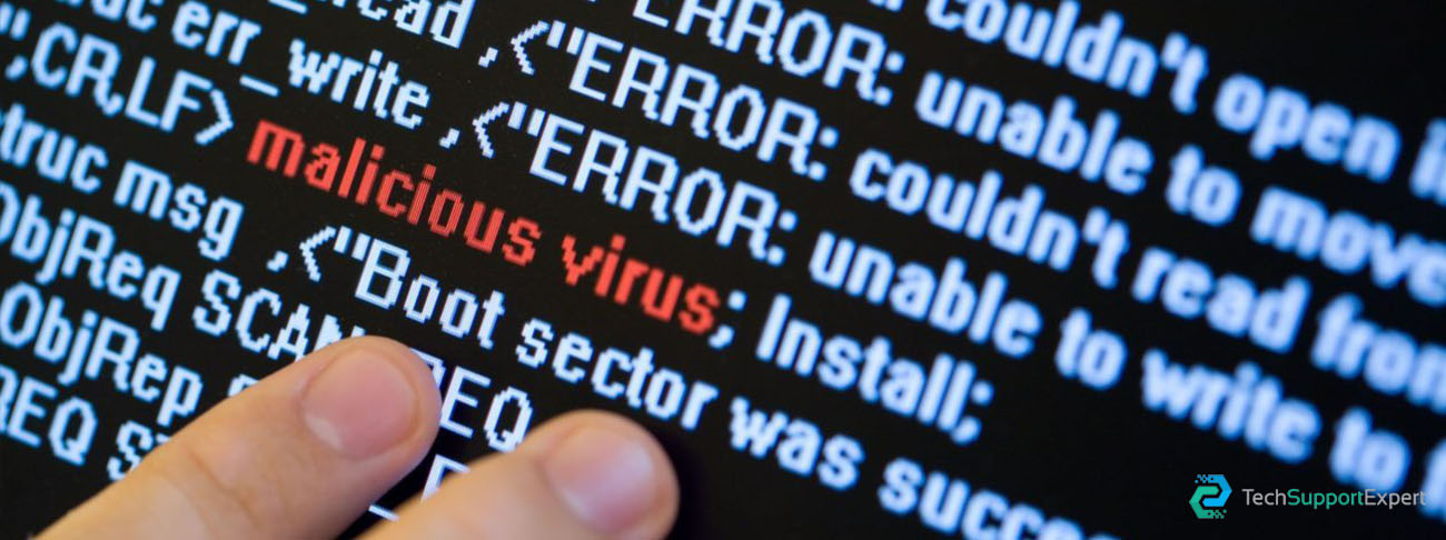 what is malicious virus