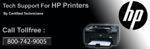 HP Printer 800 Number